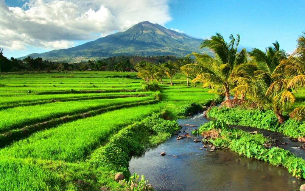 kanlaon volcano