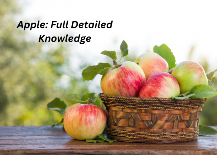 Apple Full Detailed Knowledge