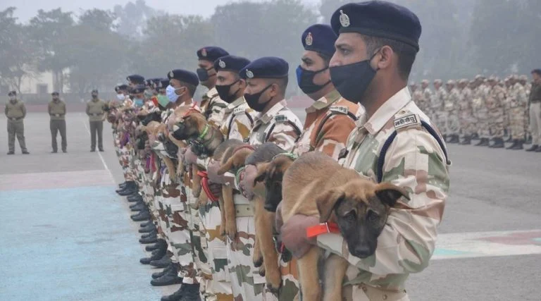 ITBP Veterinary Recruitment 2024 TazaJankari.com News